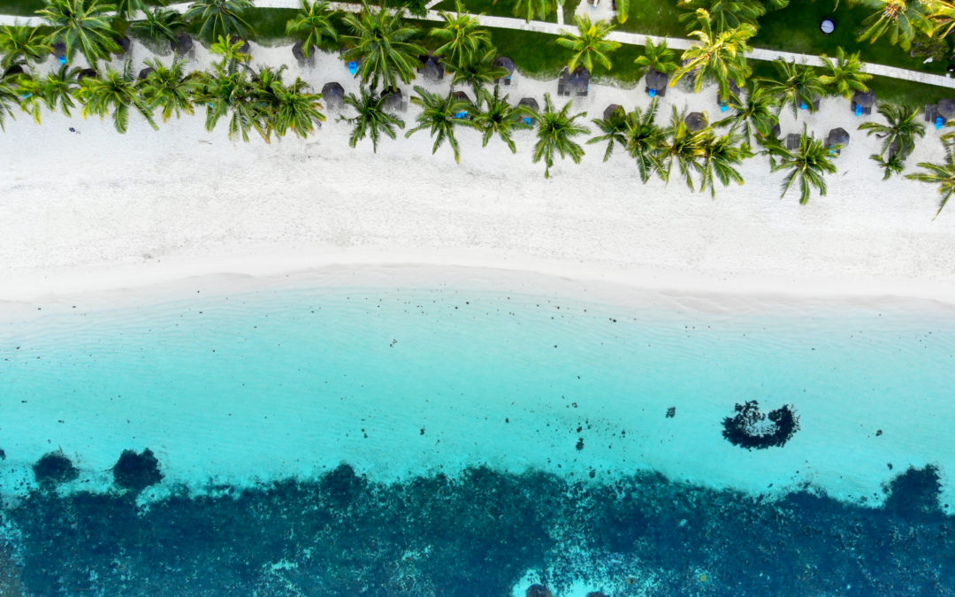 Enchanted Mauritius