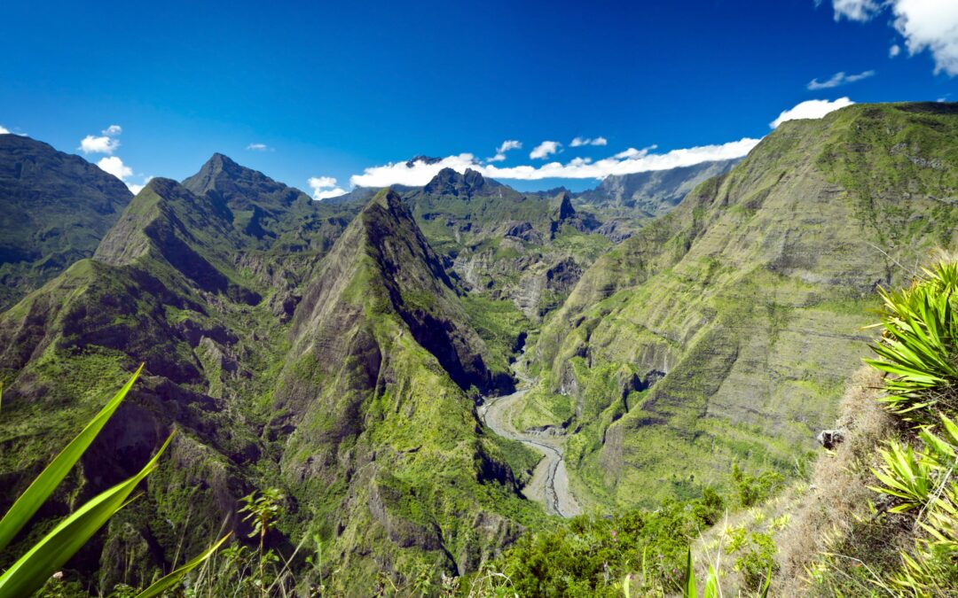 Essential Réunion