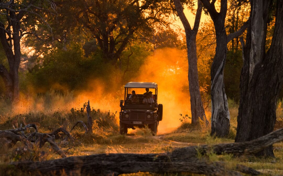 Highlights of Botswana Deluxe