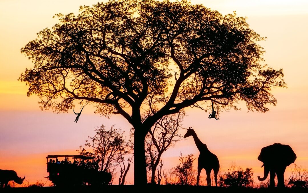 Wildlife Spectacular