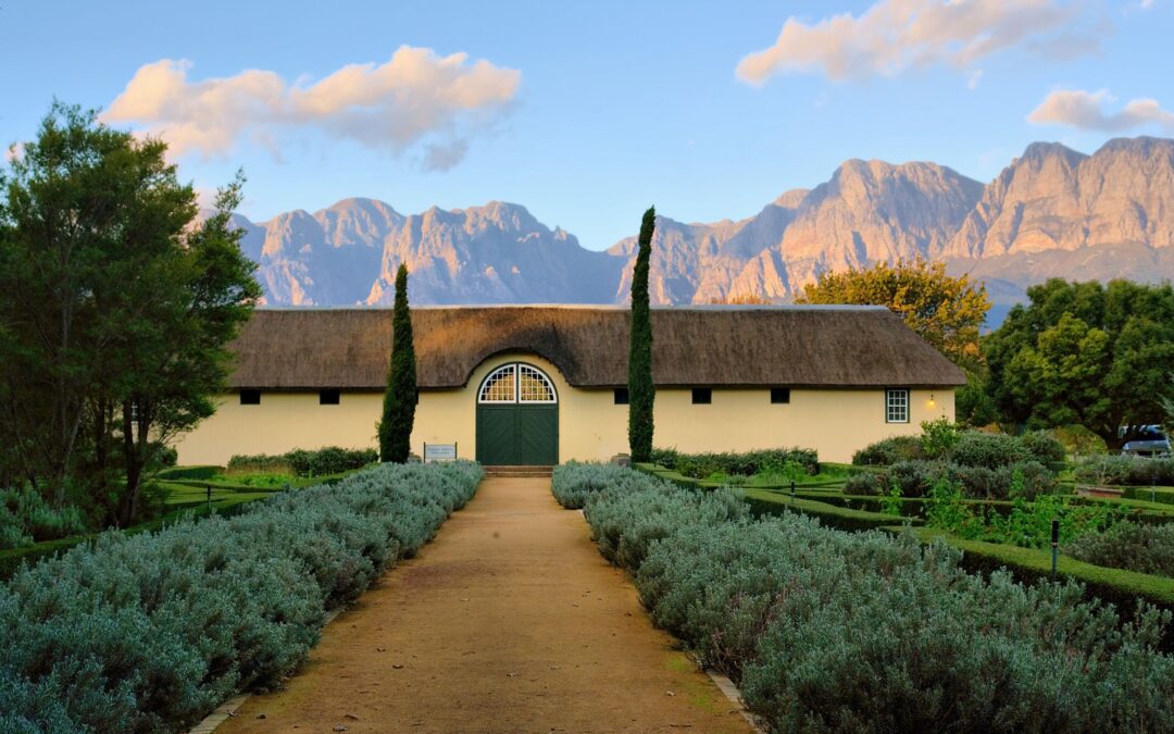 EXPERIENCE – Western Cape: Alluring Stillness & Wineland Wonders