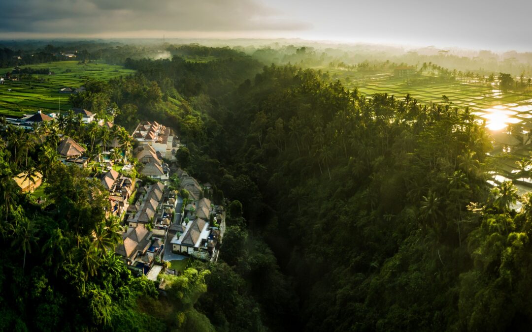 Viceroy Bali