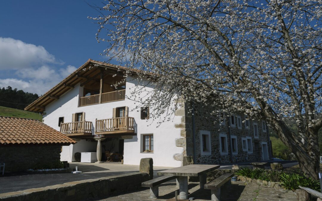 Hotel Nafarrola
